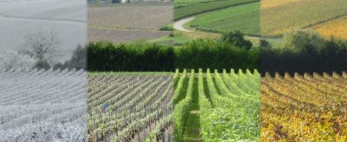 Winner small image - LA Crosse Technology