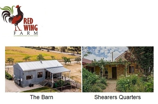 Winner small image - Redwing Farm