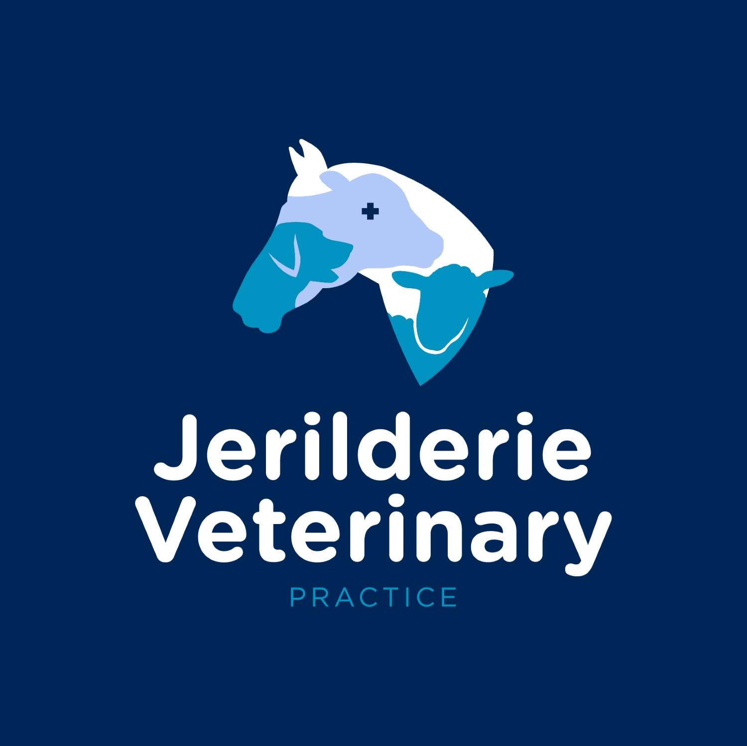 Winner small image - Jerilderie Veterinary Practice