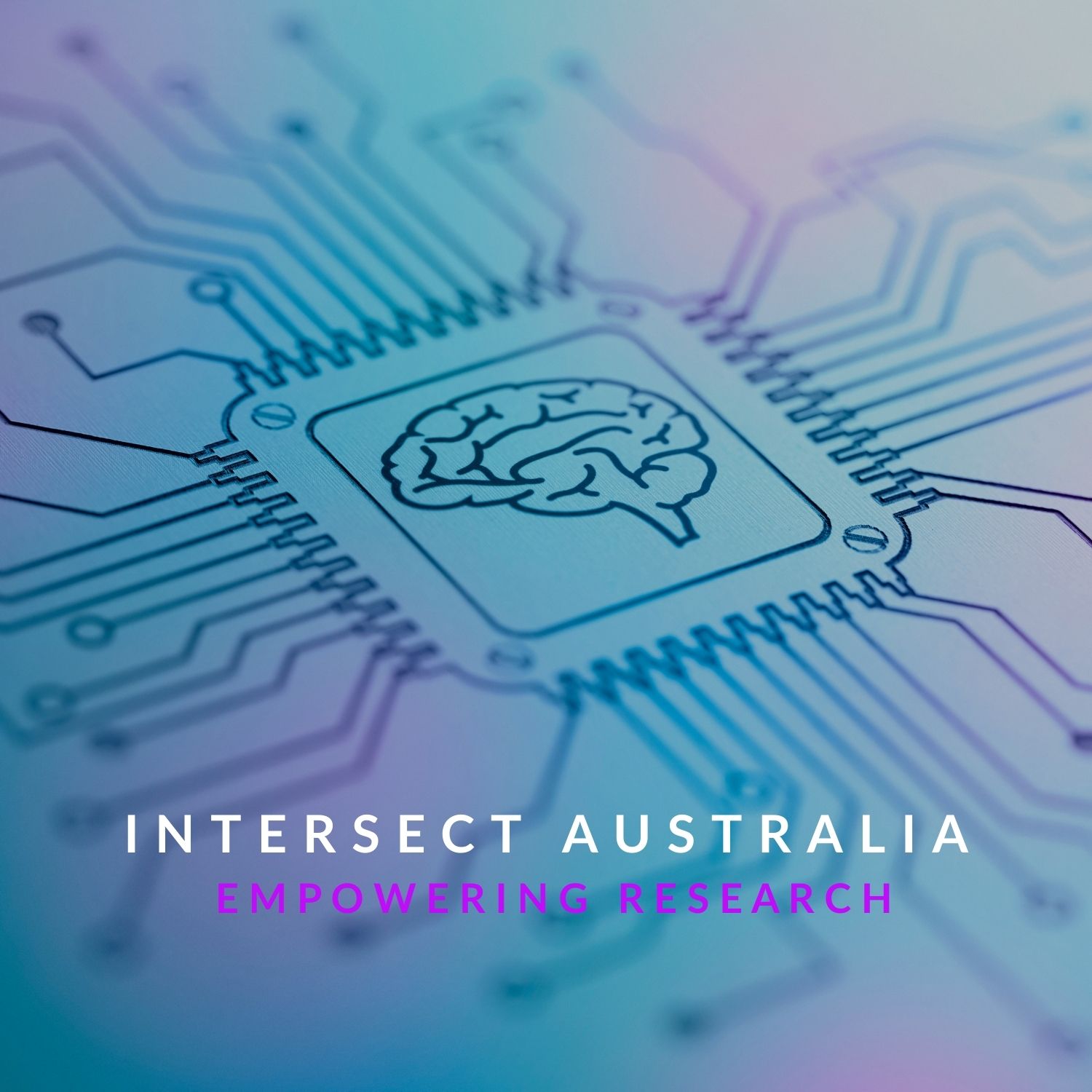 Winner small image - Intersect Australia