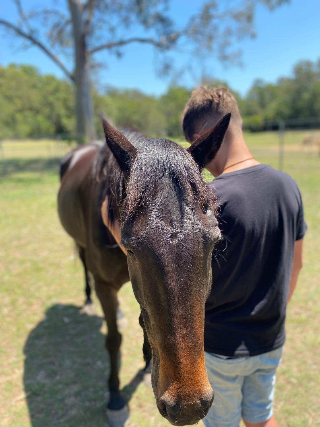 Winner small image - Herd Together Inc