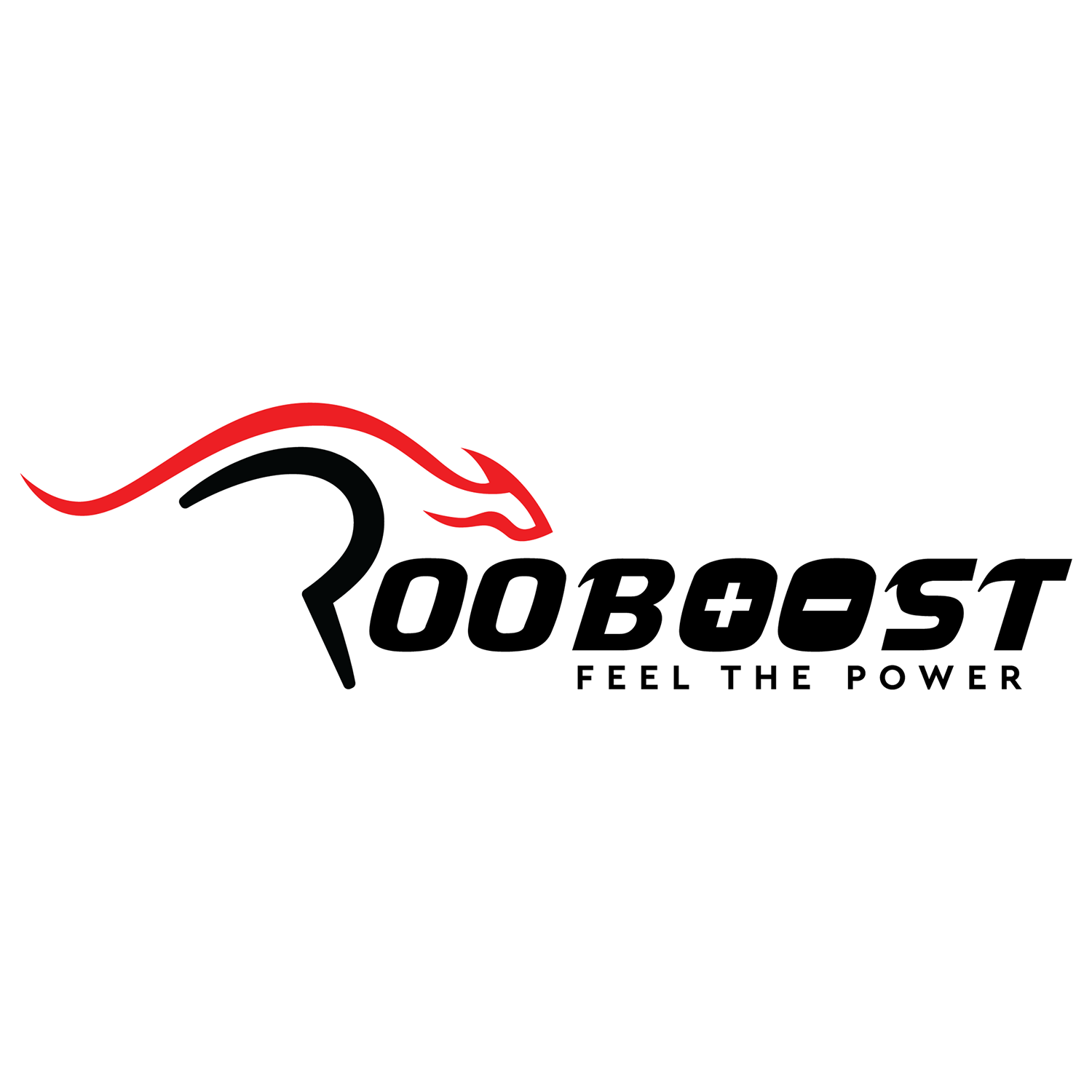 Winner small image - Rooboost