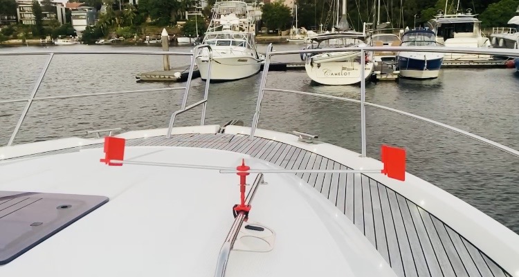 Winner small image - Bird Busta Australia