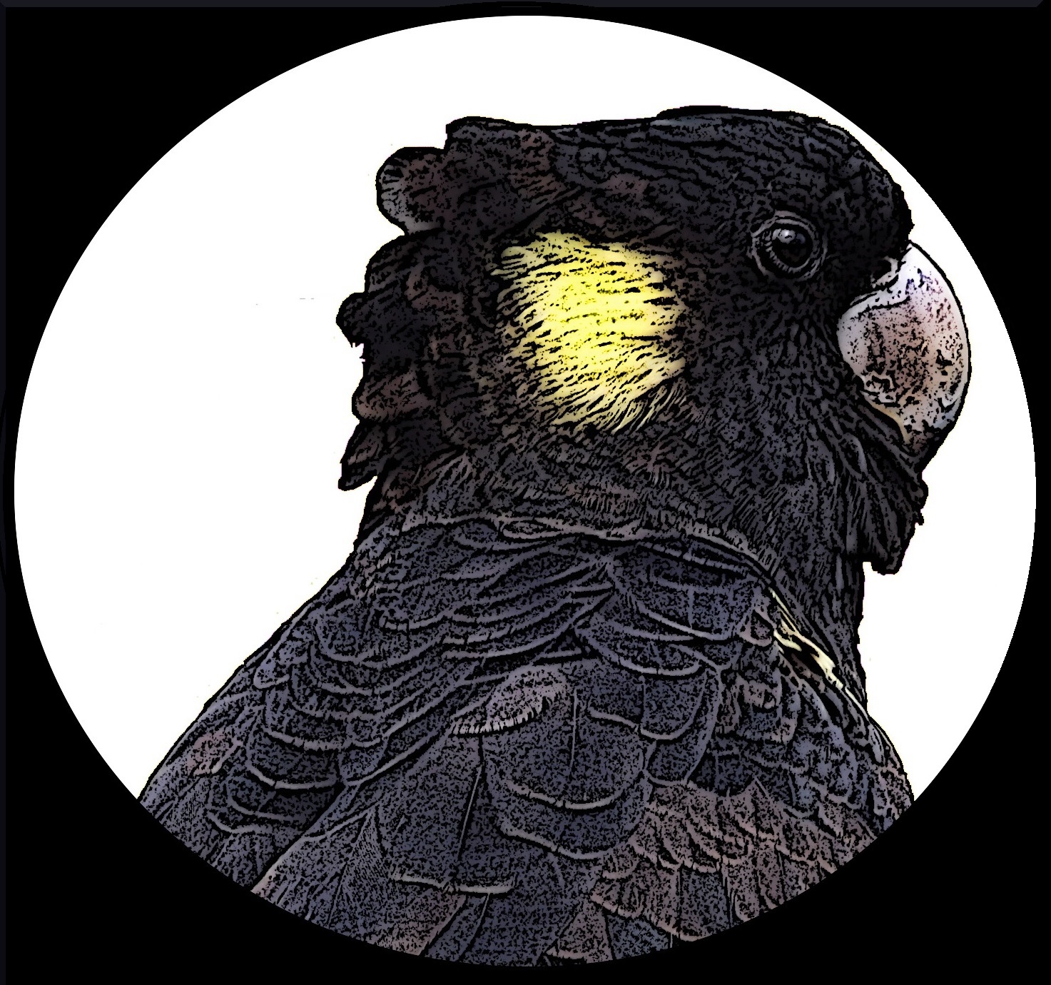 Winner small image - Black Cockie Press