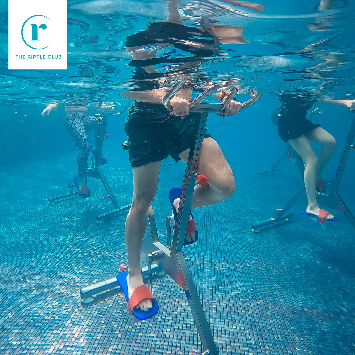 Winner small image - The Ripple Club