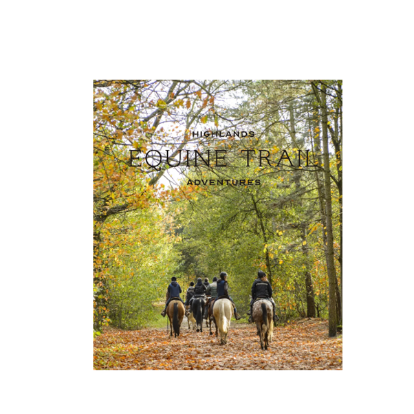 Winner small image - Highlands Equine Trail Adventures